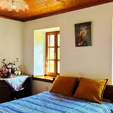 Erato's Nest -