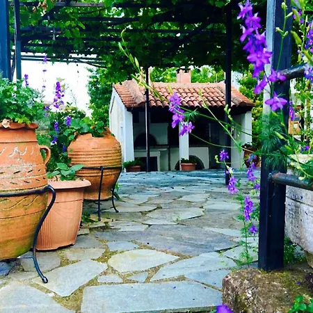 Villa Erato's Nest - *