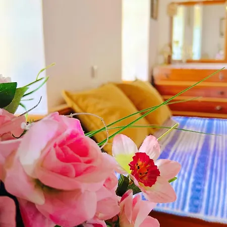 Villa Erato's Nest - Pelion