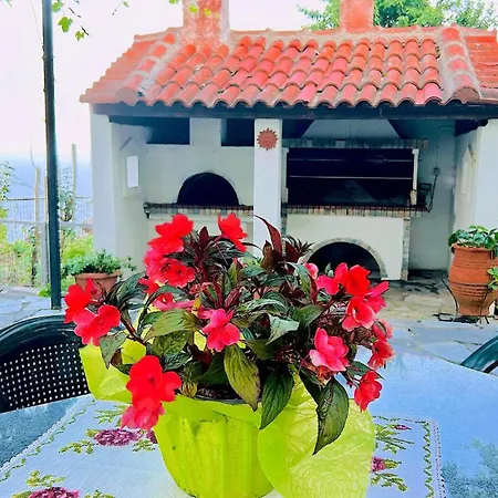 Erato's Nest - *